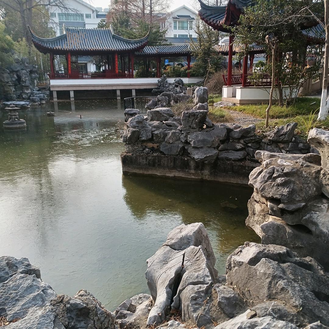 张哥