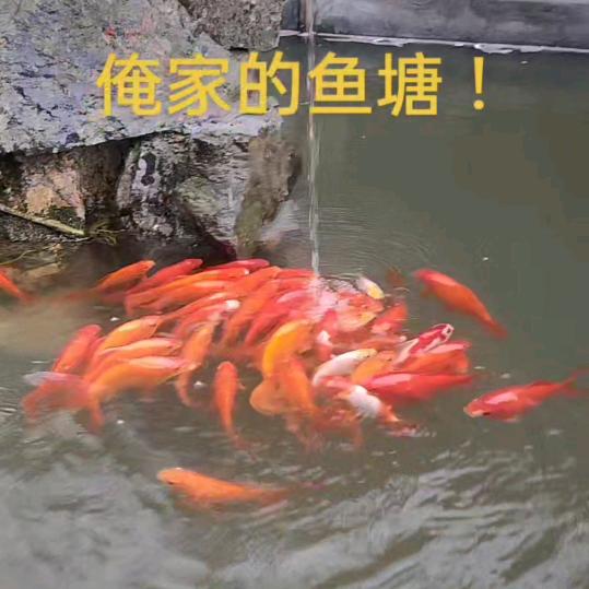 2025.顺风顺水 顺我心！有财有福！