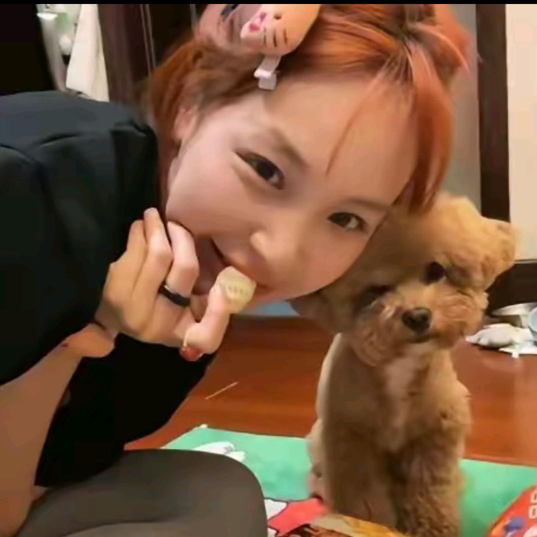 ˃̣̣̥᷄⌓˂̣̣̥᷅