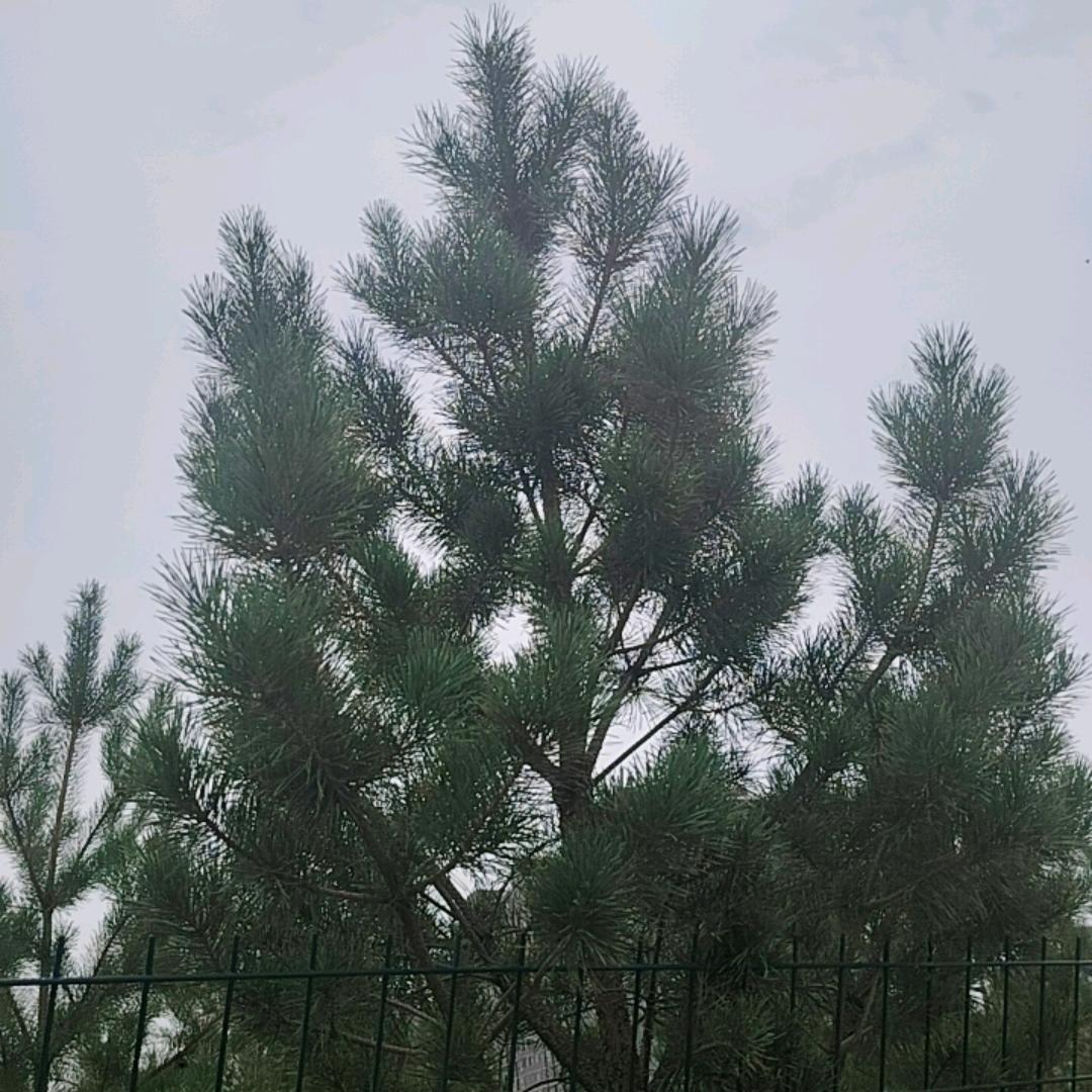 生活   在路上