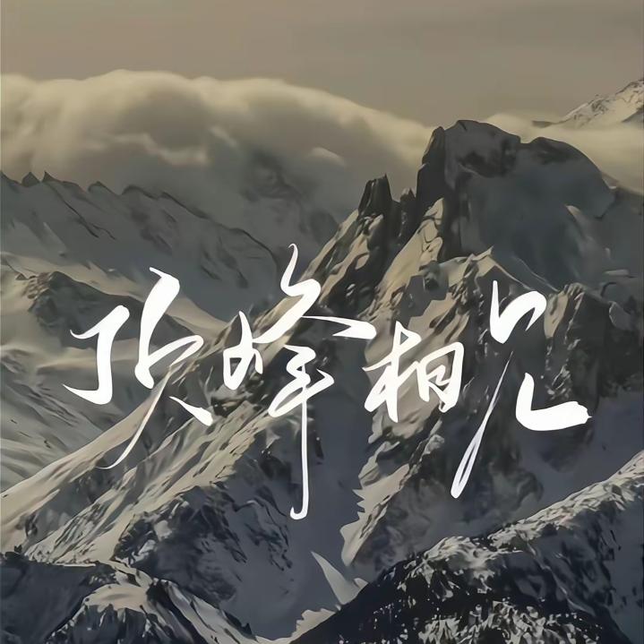 এ顶峰相见༊