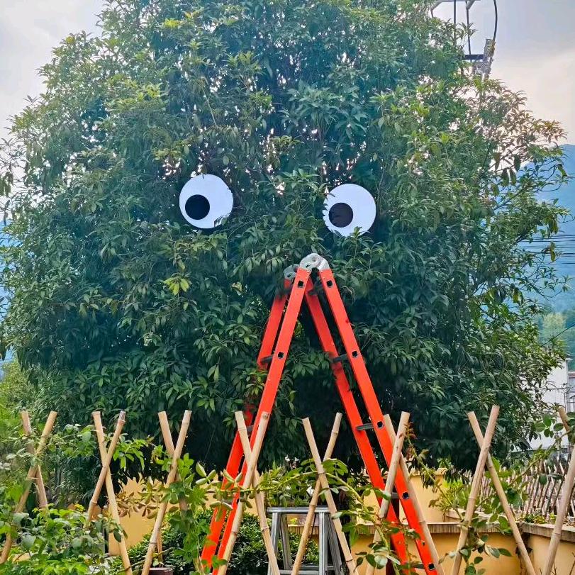 麻瓜呢