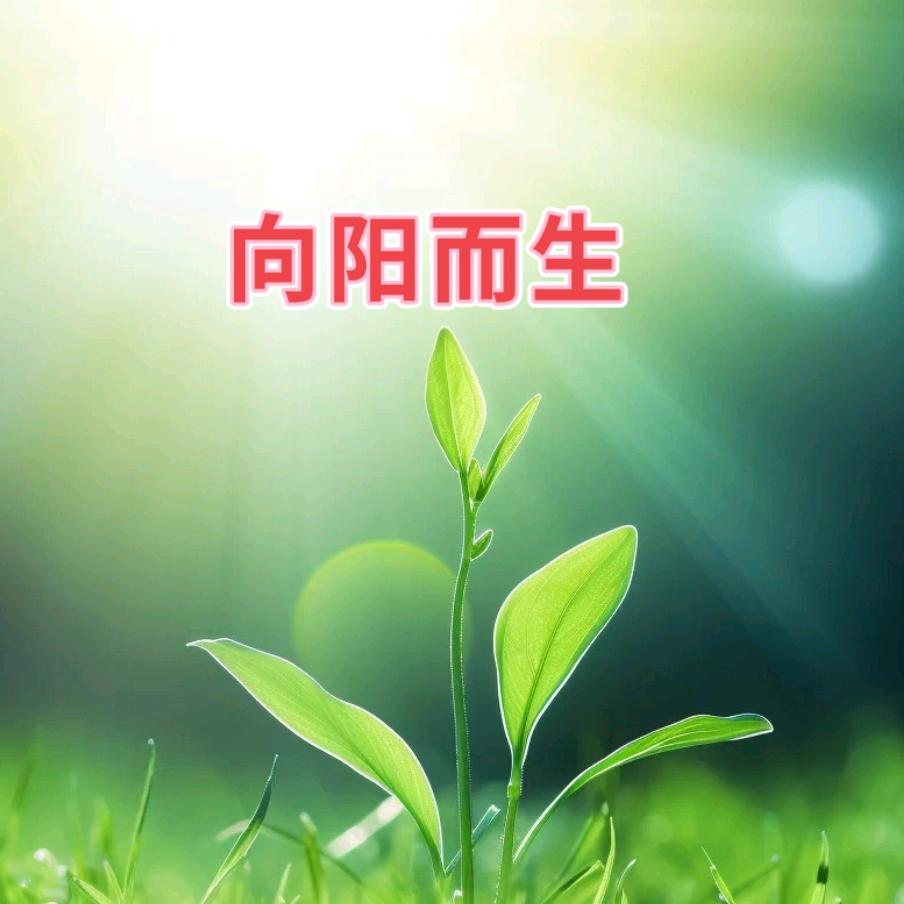 新闻思索