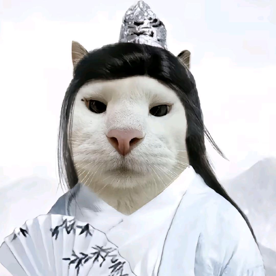 高贵猫猫侠