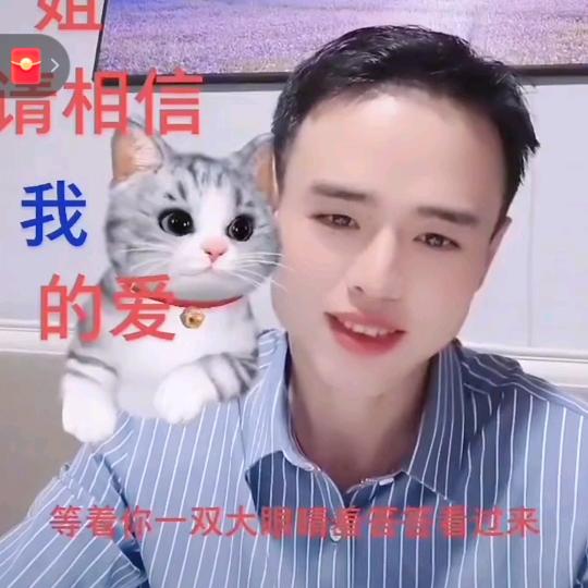 权哥【风云再起】