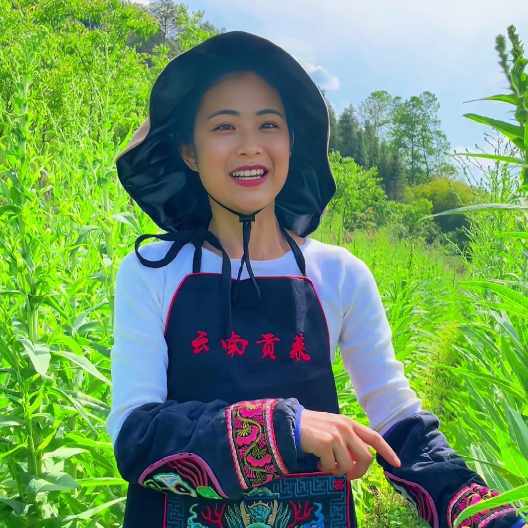 云辰贡菜