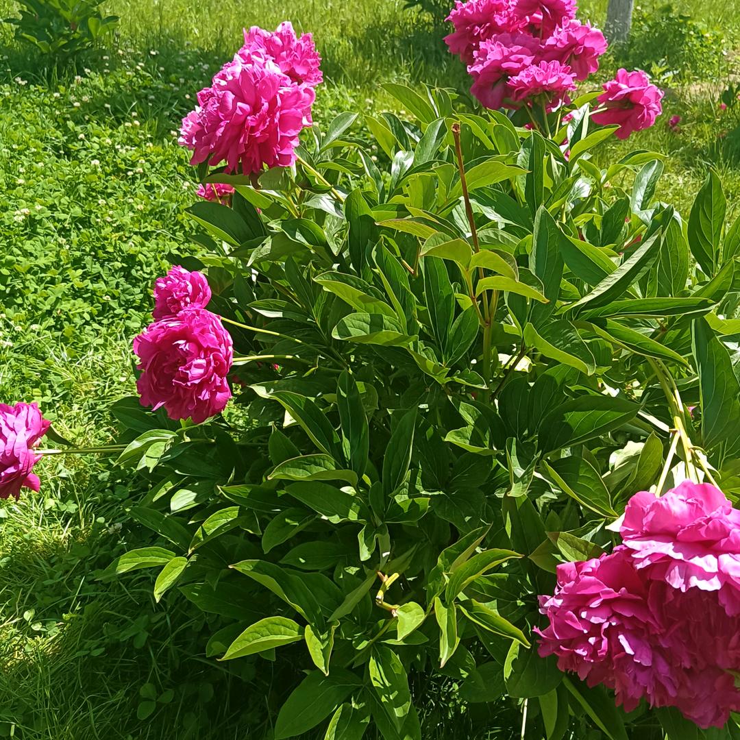 一切随缘🎈⛱🎀⊙ω⊙⊙ω⊙