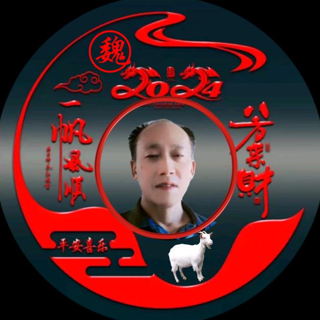 梦想成真