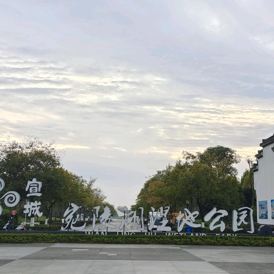 你若安好便是晴天