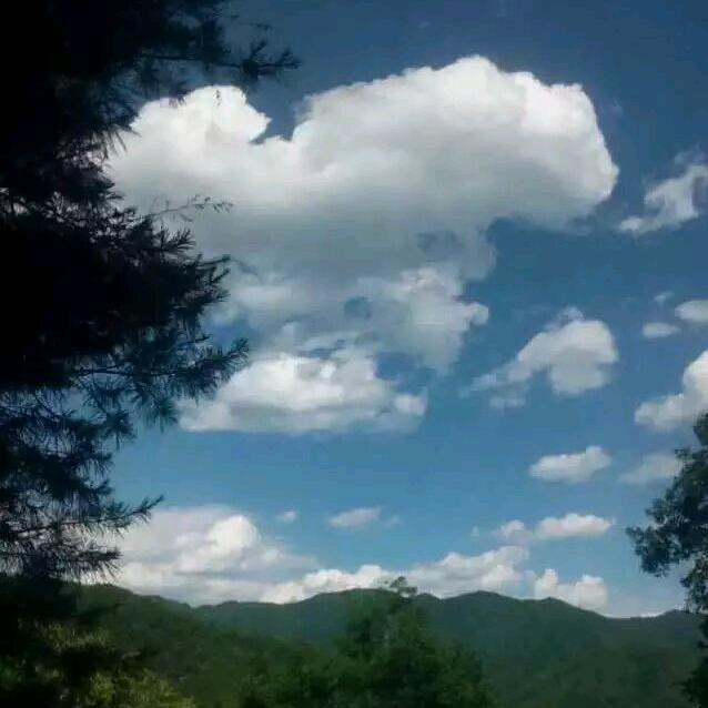 A只为遇见你