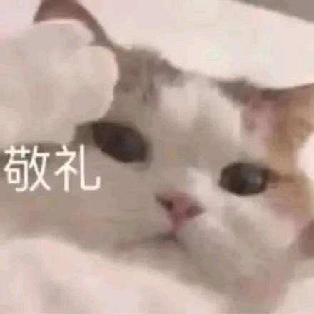 逸轩（三角洲代肝）