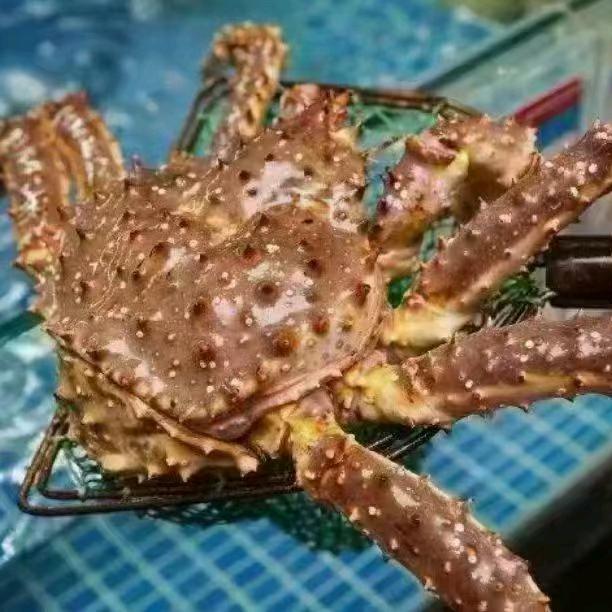 云河出行推荐官