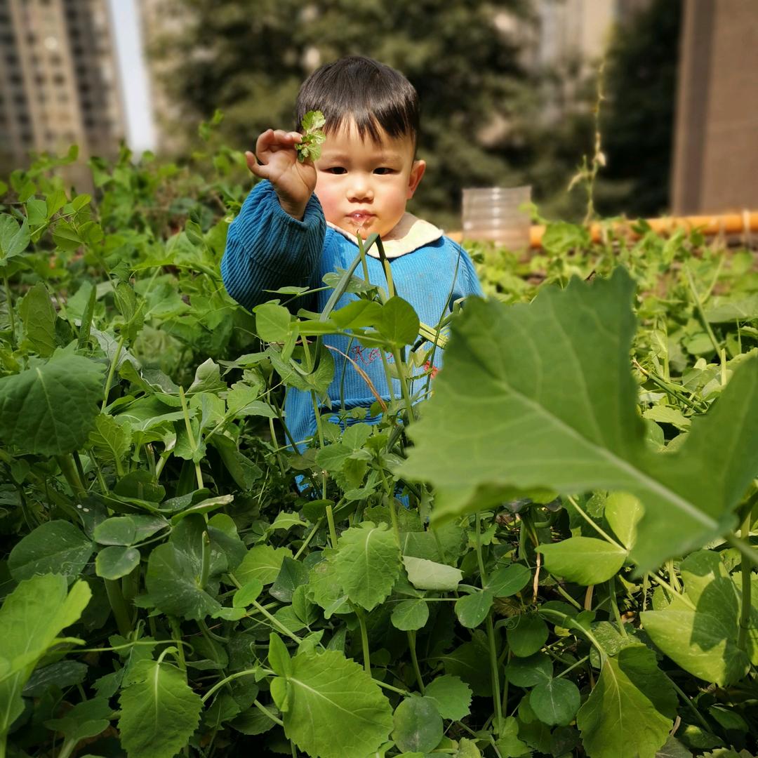 一个爱奋斗的人
