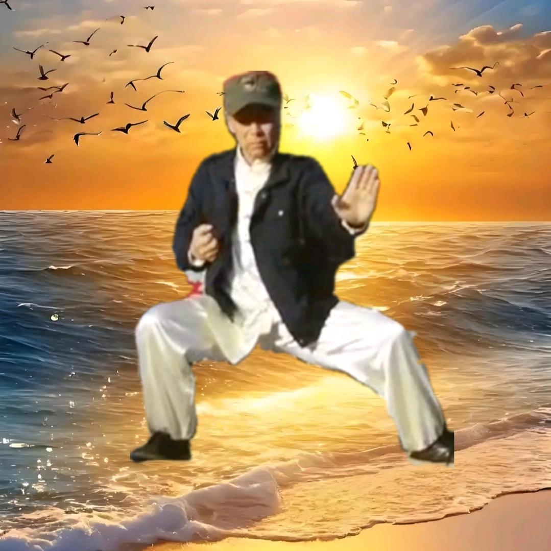 太极风.澜