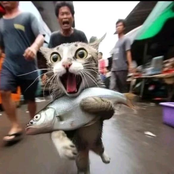预估