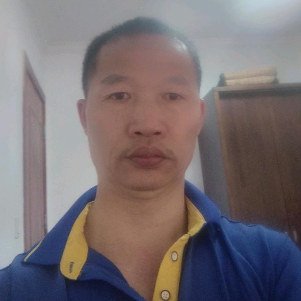 响动803