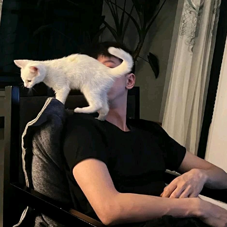 ㅤ︌