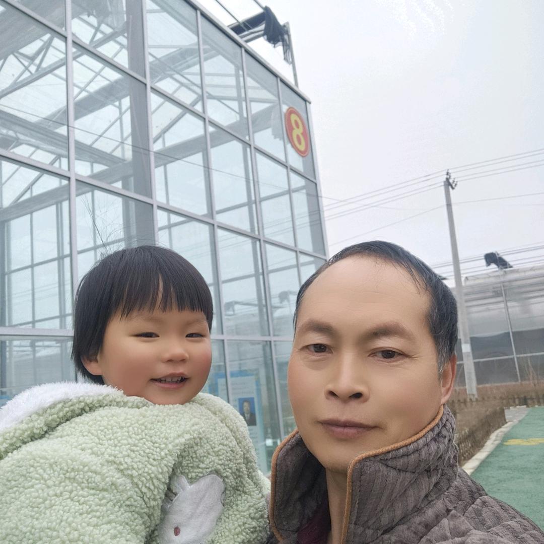 卢氏连翘科研培育基地老祁