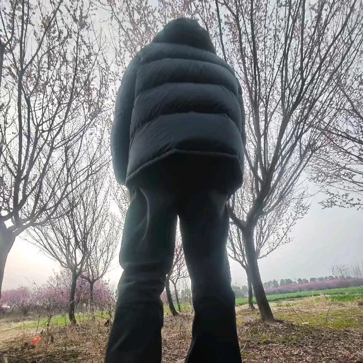 苏瑾言