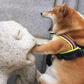 吴同学꒦ິ^꒦ິ