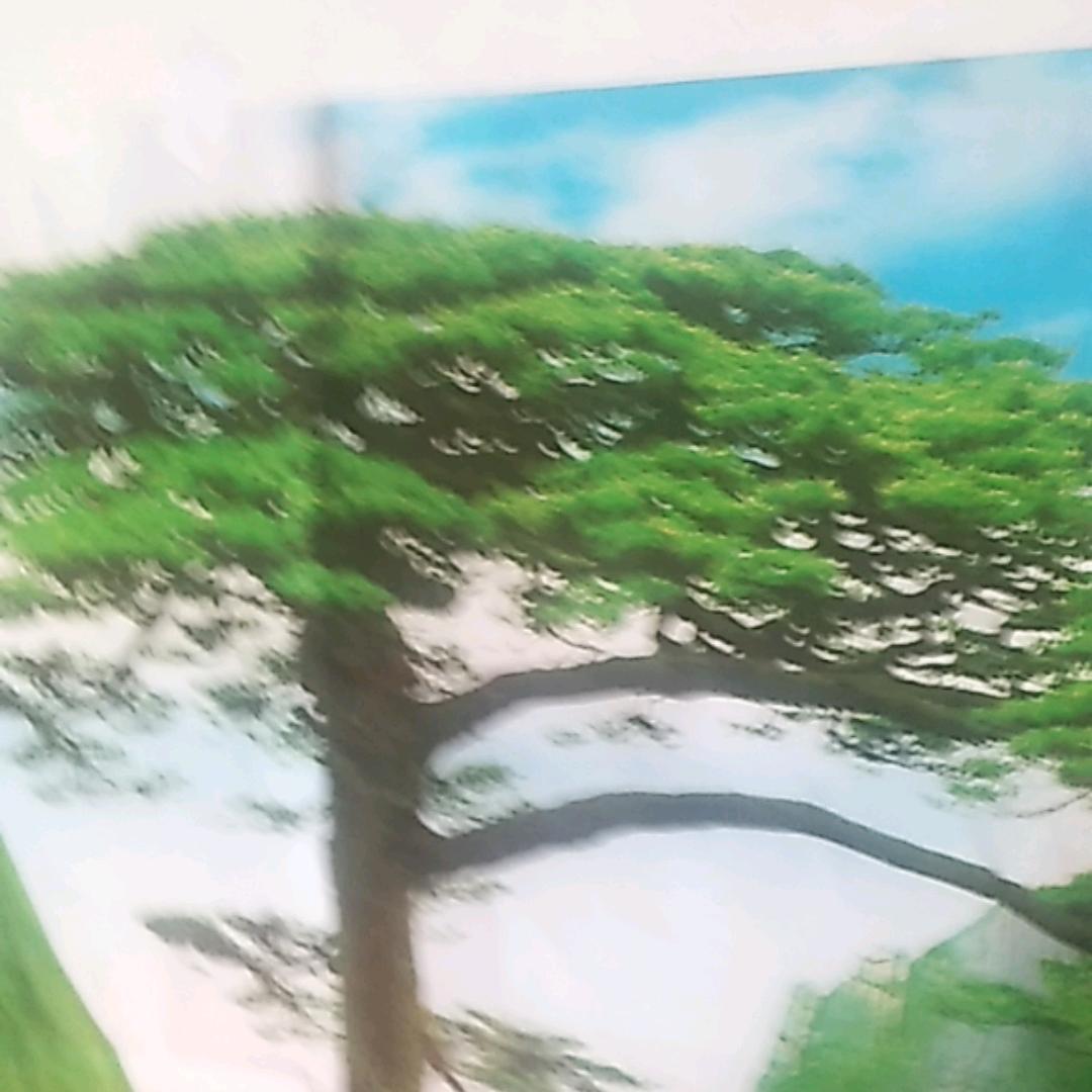 爱情失恋