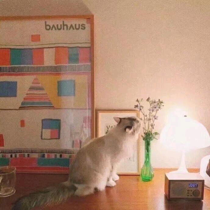 恸