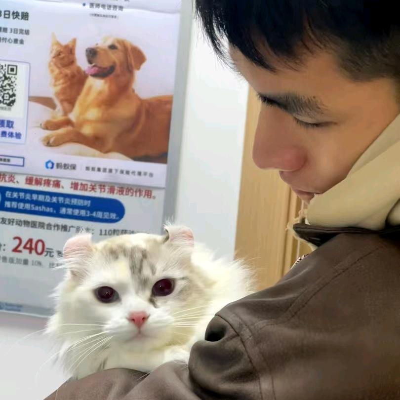 阿普不普通
