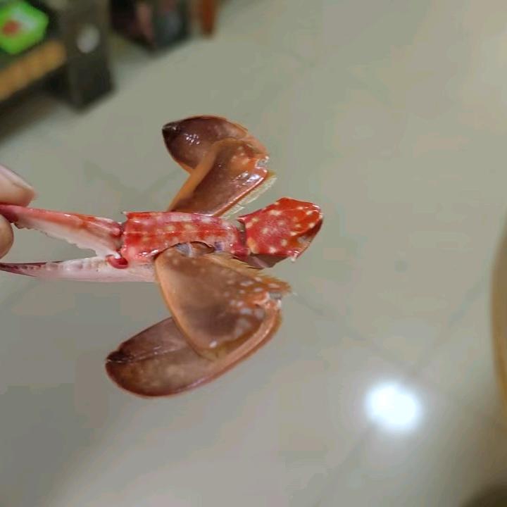 小康水产