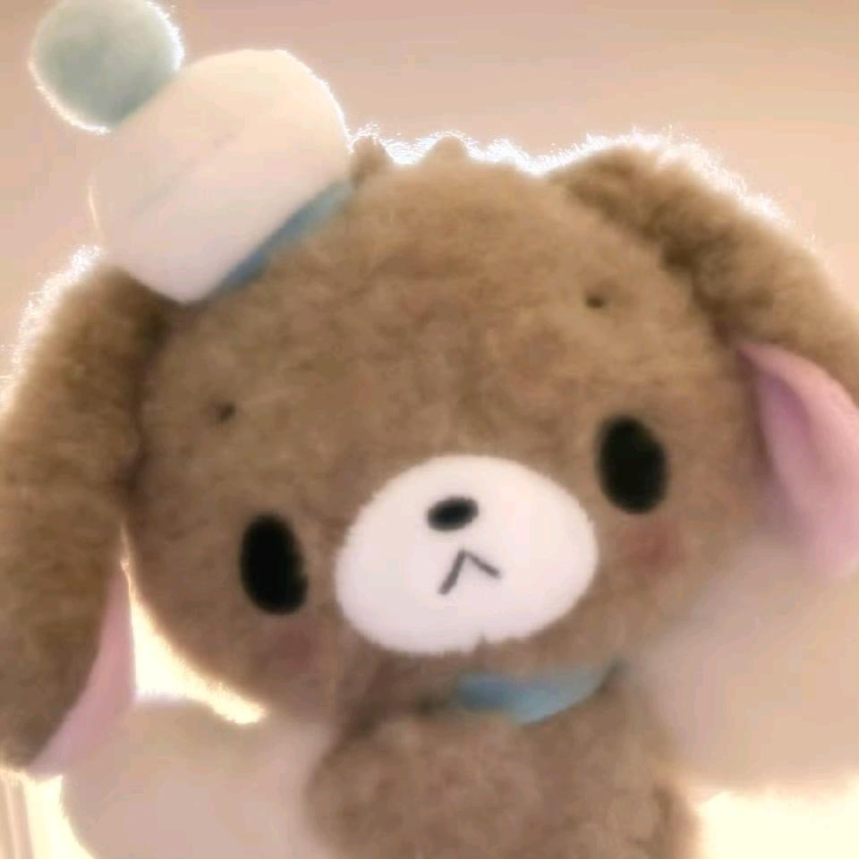 饼干小狗ᯅ̈