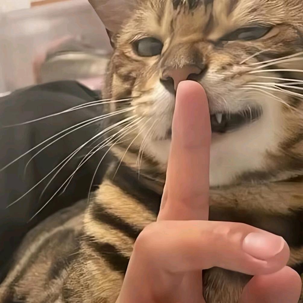 熊猫叮咚最帅的那个男人