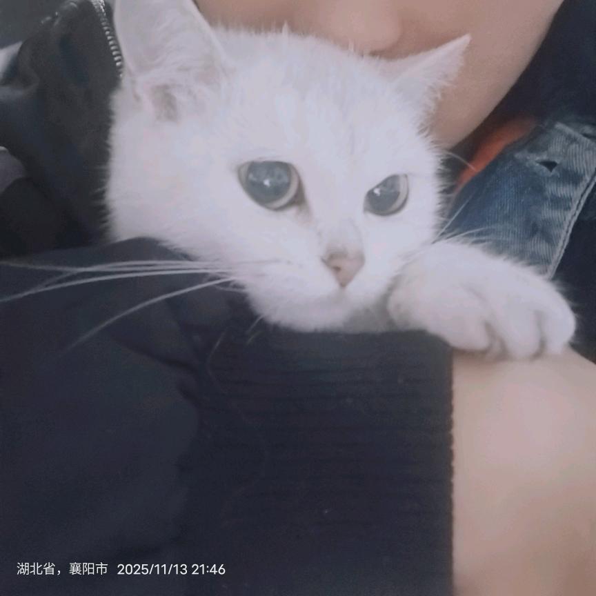 丁丁丁
