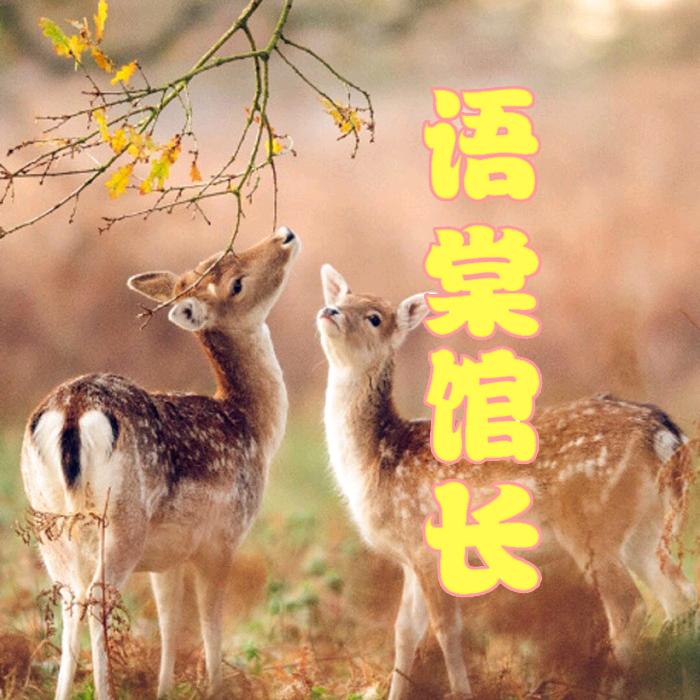 语棠馆长