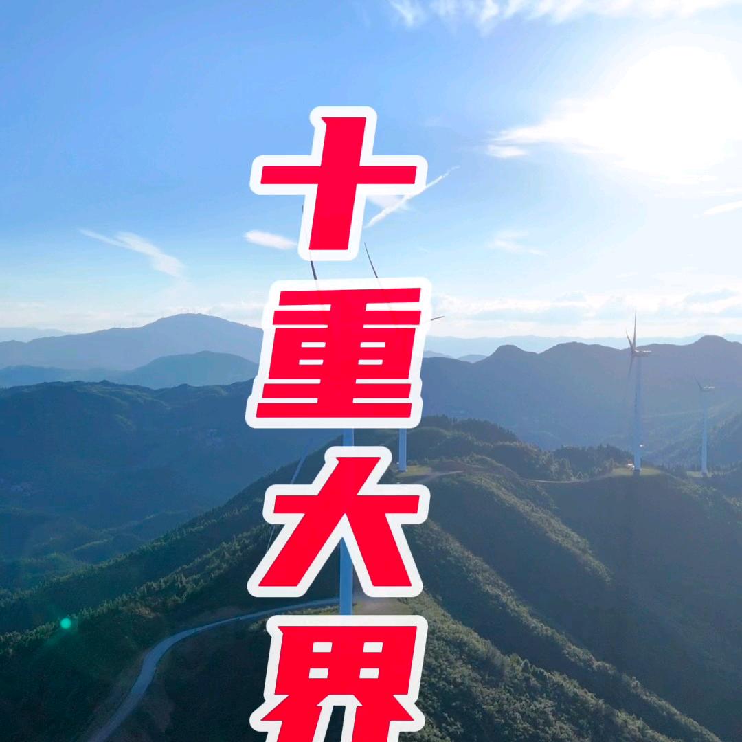 博枫清影