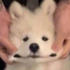 我就不