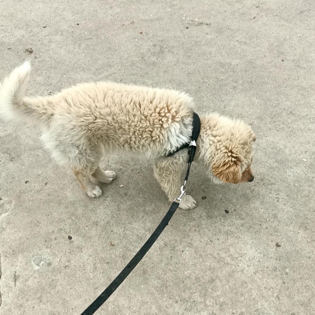 এꦿ任性💕小李ꦿ້໌ᮨ࿐