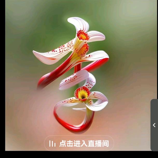 李氏集团，，