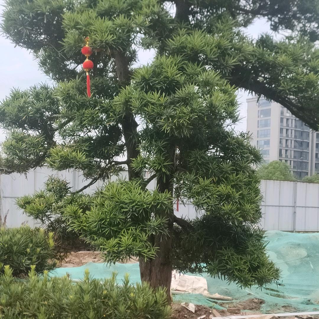 幸福＆暖心