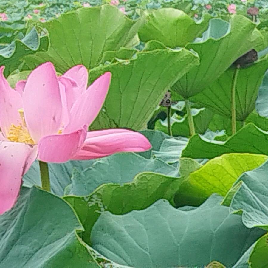 木子姐