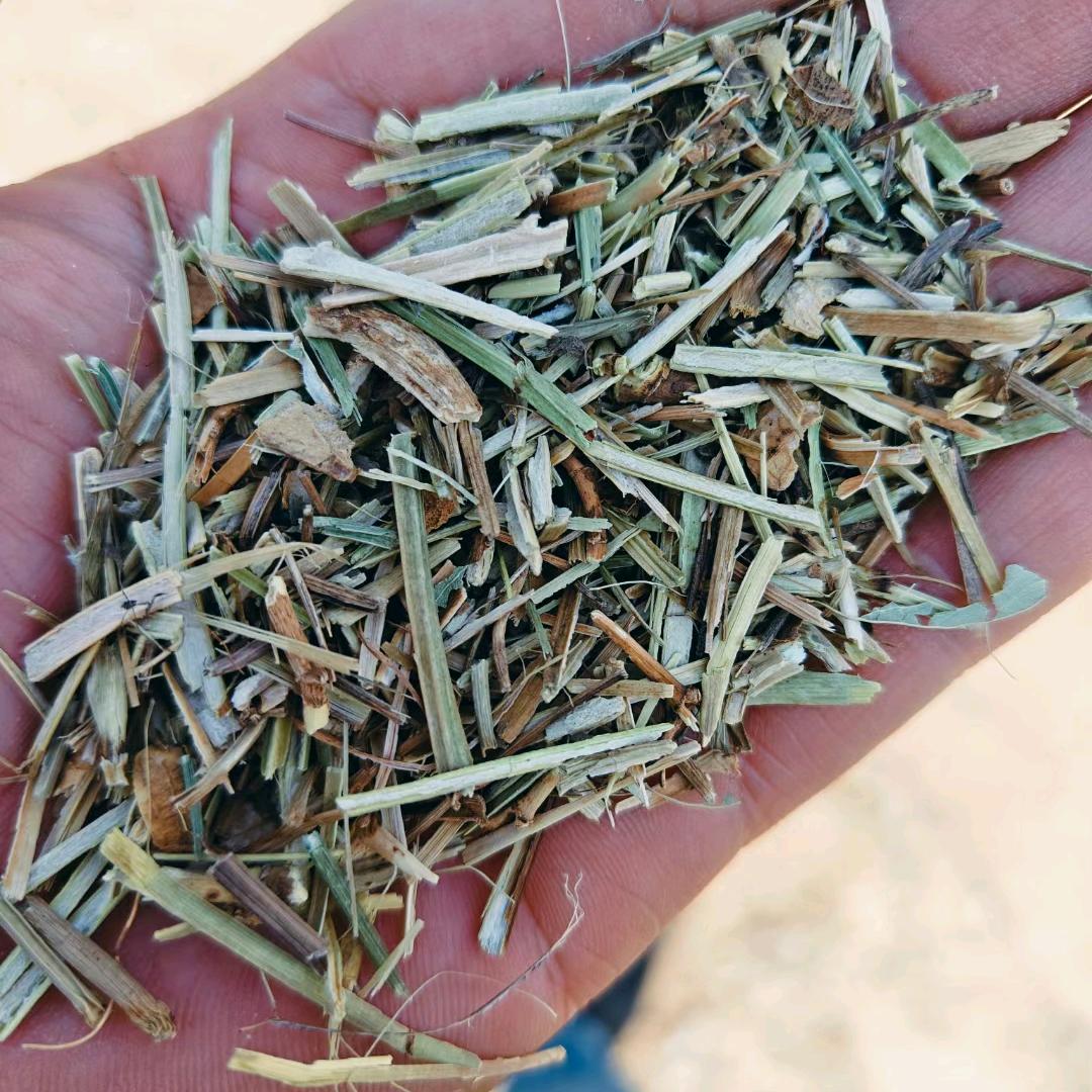 🌿🌿叶子🍀🍀