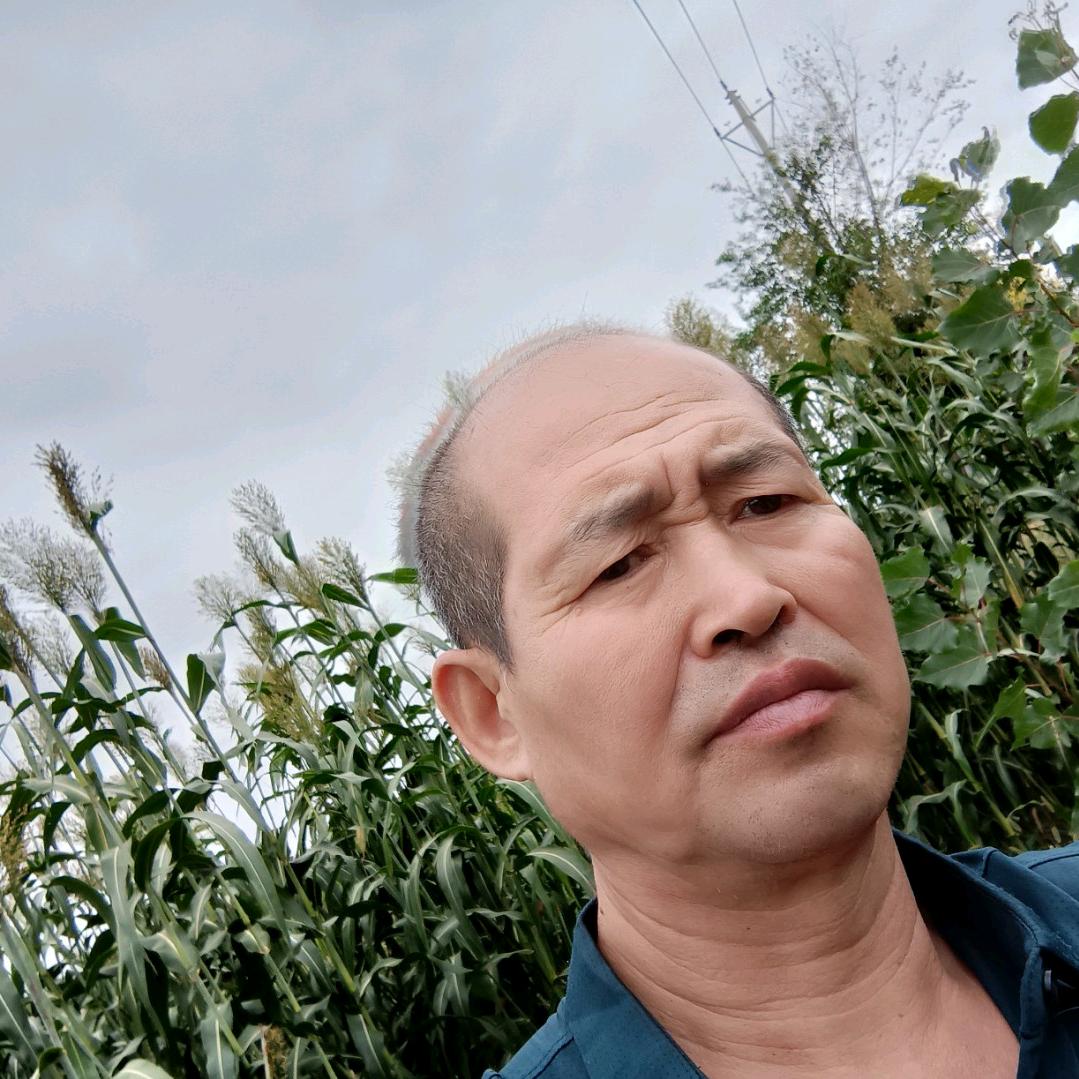 冰元孟德助力号同名（晚7点15号’’开播