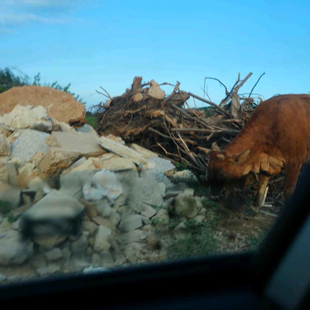 史努比🍓🍍🥝🍅🥑