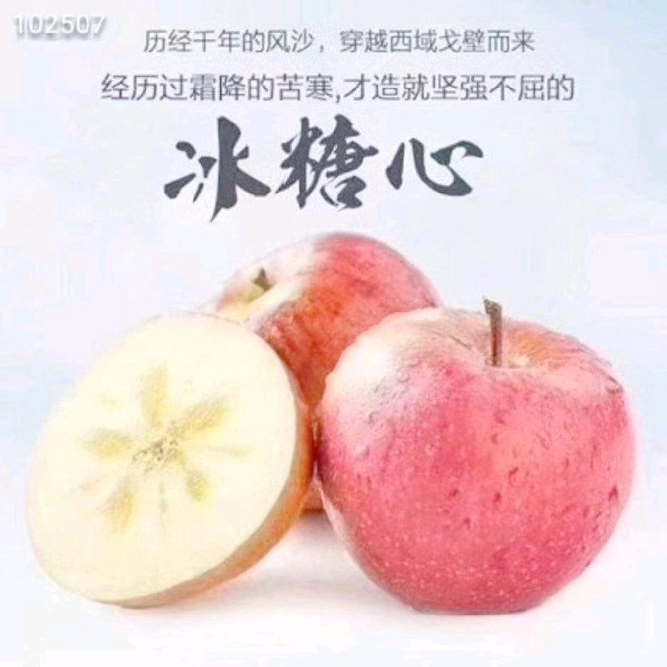 一路向北