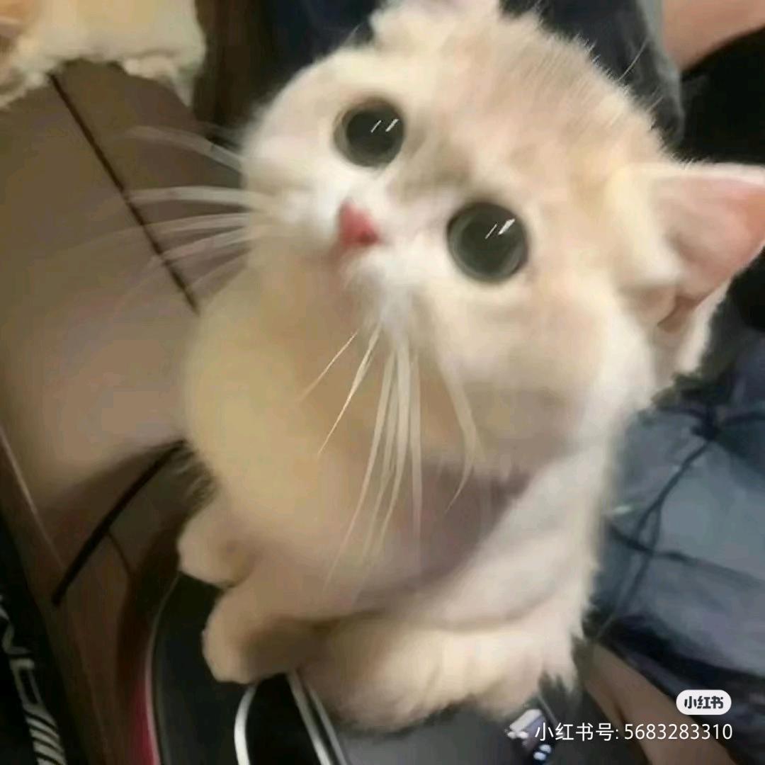 oO○