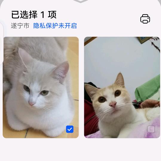 jiazhongfeng