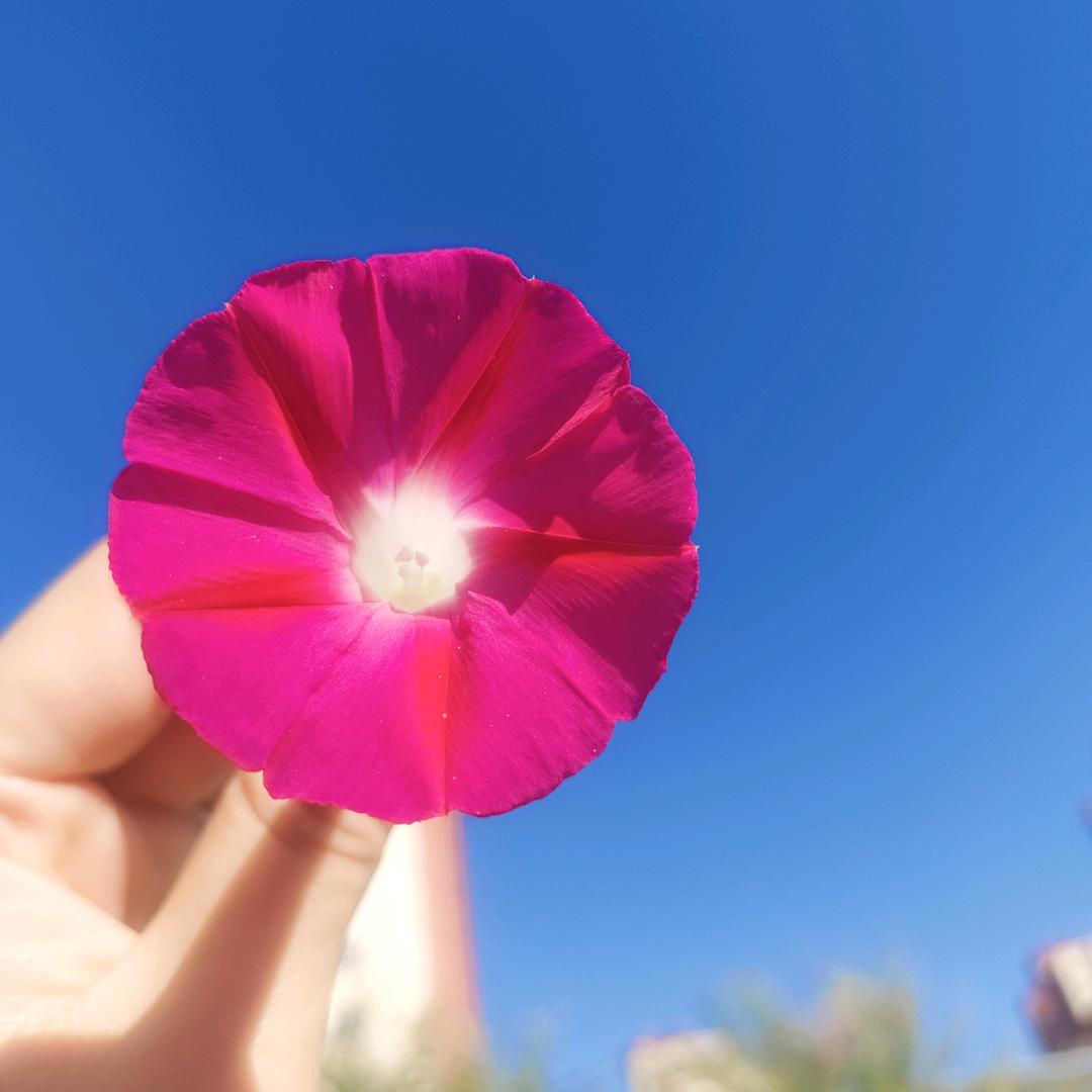 大丽超棒的（孕期）