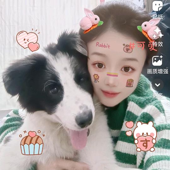 牛牛
