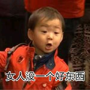 银狐呕吼  小说