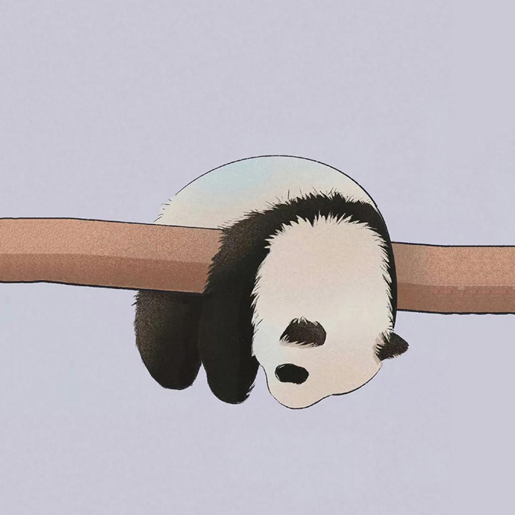 11--++