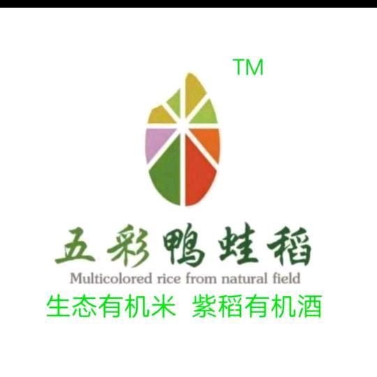 石首市五彩鸭蛙稻食品店 严斌