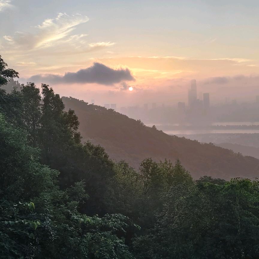 令狐冲茶
